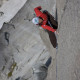http://barbara-bacher.at/at/wp-content/uploads/2012/02/HW_081218_cochamo_climbing_barbara_7419.jpg